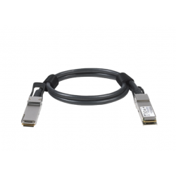 Netgear ACC761-10000S câble...
