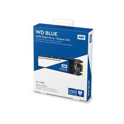 SSD WD Blue 3D NAND 250 Go...